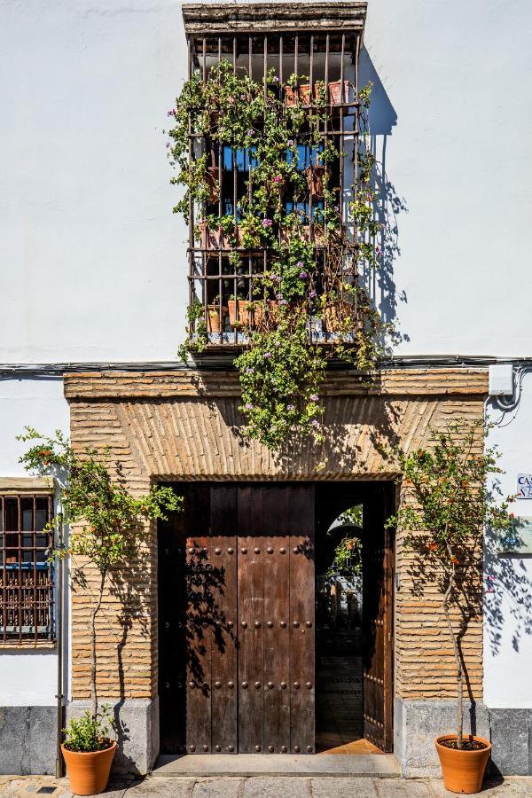 Apartmán Apartamento Con Patio Cordobes En San Basilio- Parking Privado Córdoba Exteriér fotografie